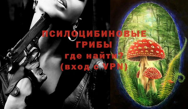 герыч Балахна