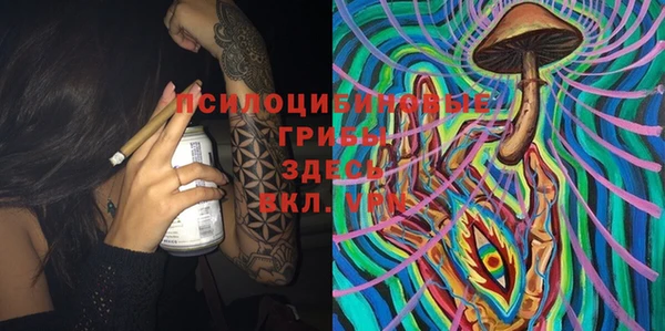 мяу мяу мука Баксан