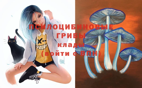 СК Балабаново