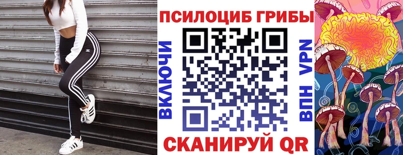 кракен зеркало  Плавск  Псилоцибиновые грибы GOLDEN TEACHER 